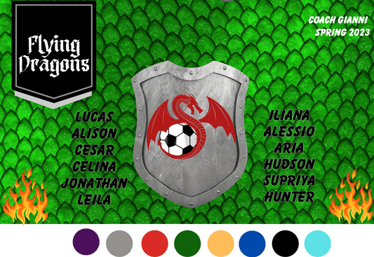 Sample dragon team banner with green scale background, gray shield, red dragon on shield with ball, and player names in black and team name in white. Flamoes flanking bottom sides