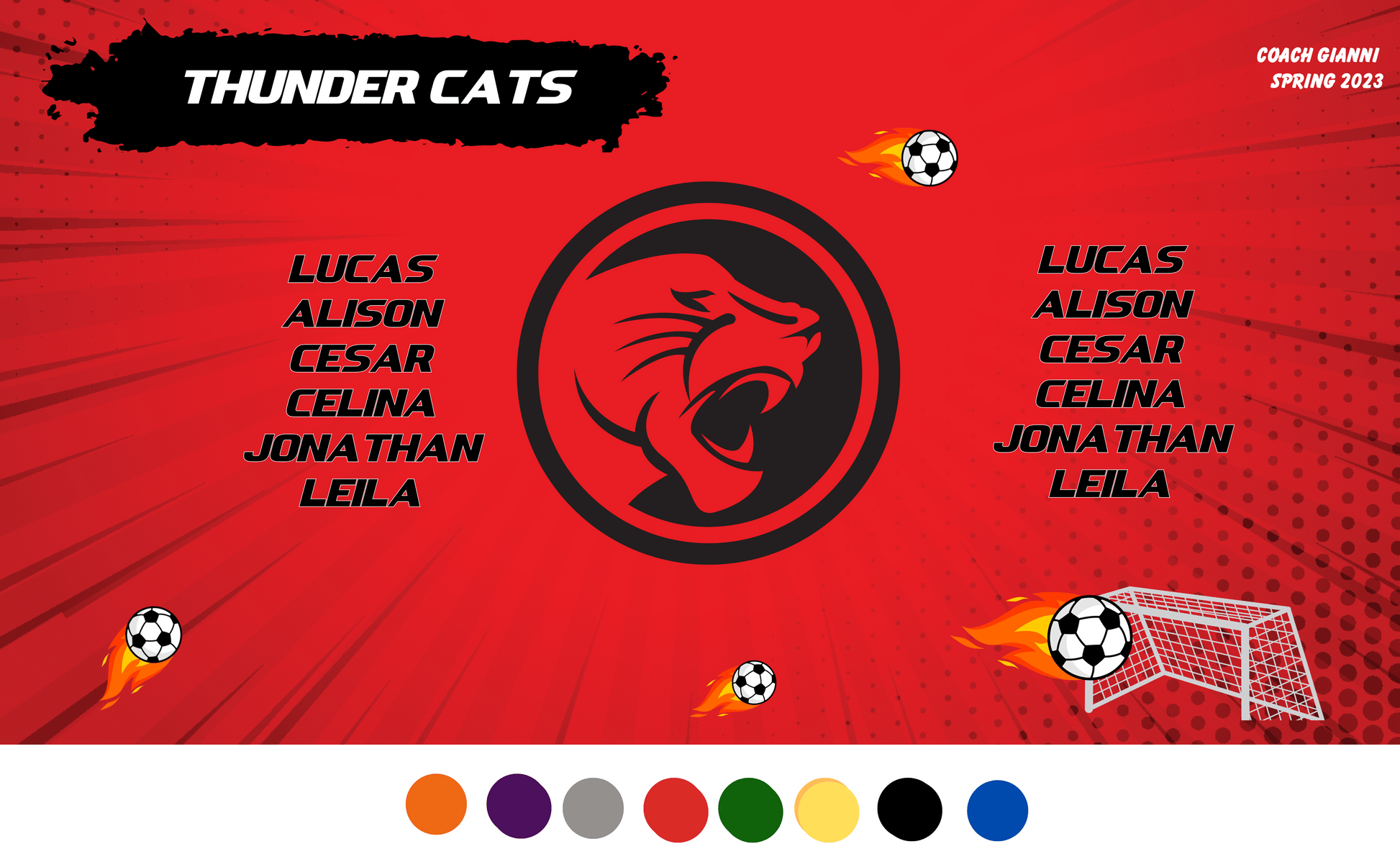 Wild cats sample sports team banner with red background and cat mascot in black and flying soccer balls around players names and mascot