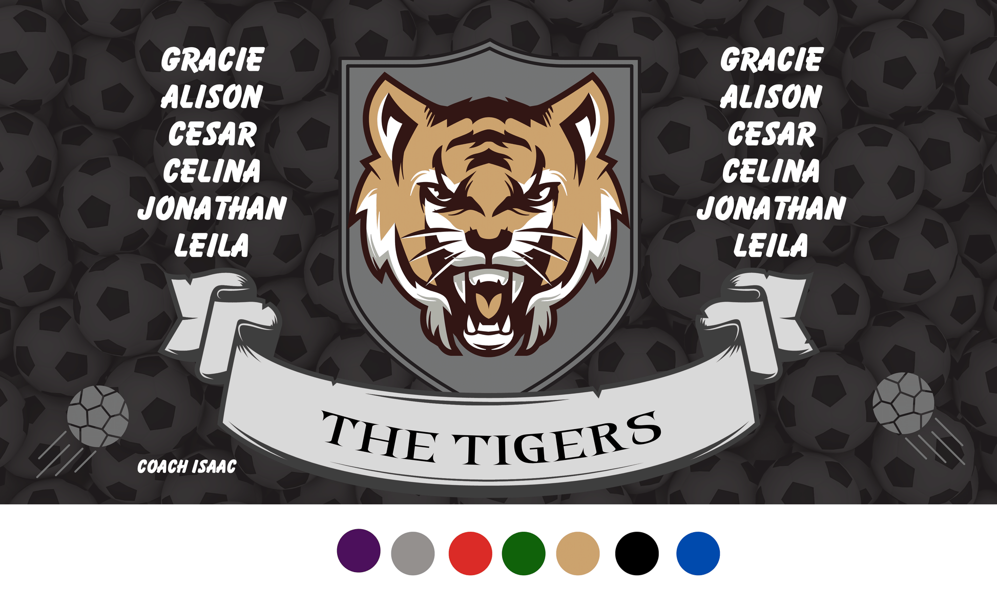 Black soccer ball background, wild cat on shield in center with player names in white on each side and team name on bottom gray banner