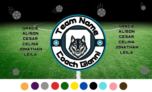 Soccer field at night, gray soccer balls falling, wolf round emblem in center with team name and coach name circling it, players names on right and left in black